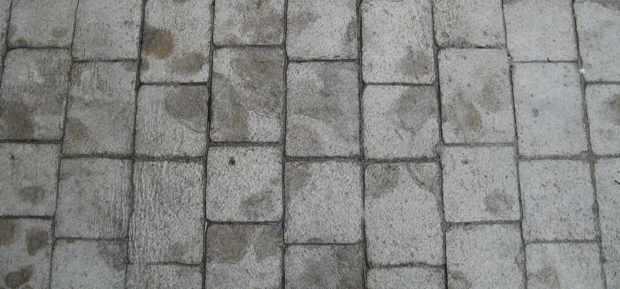 stamped concrete expample